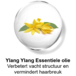 Olie Ylang Ylang HD