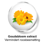 Goudsbloem