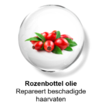 Rozenbottel olie